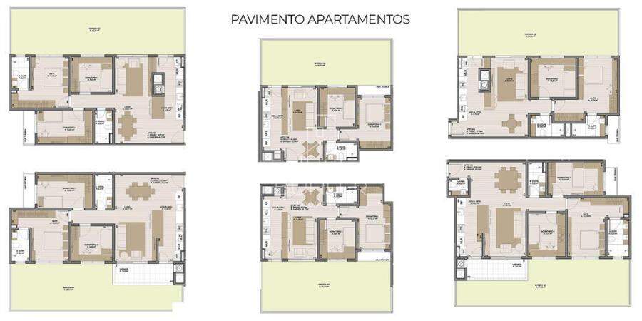 PLANTA