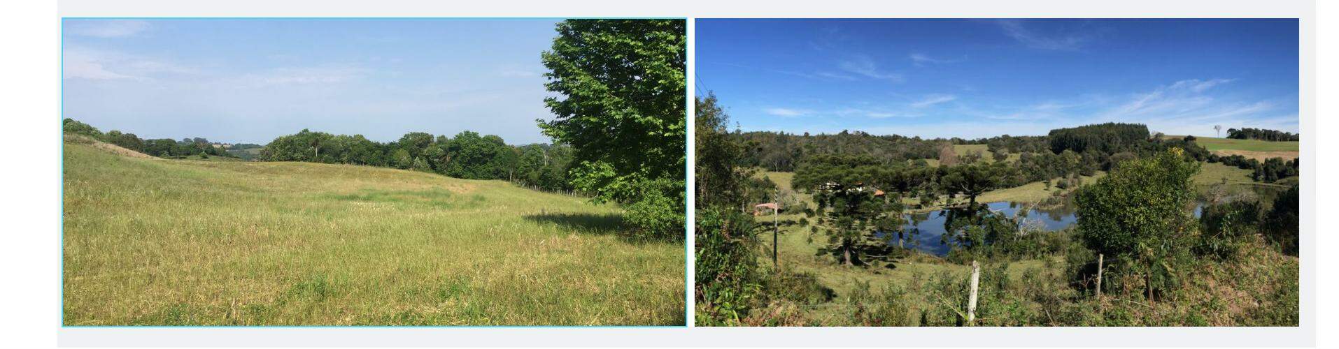 Nova Bassano Área rural com 32 Ha