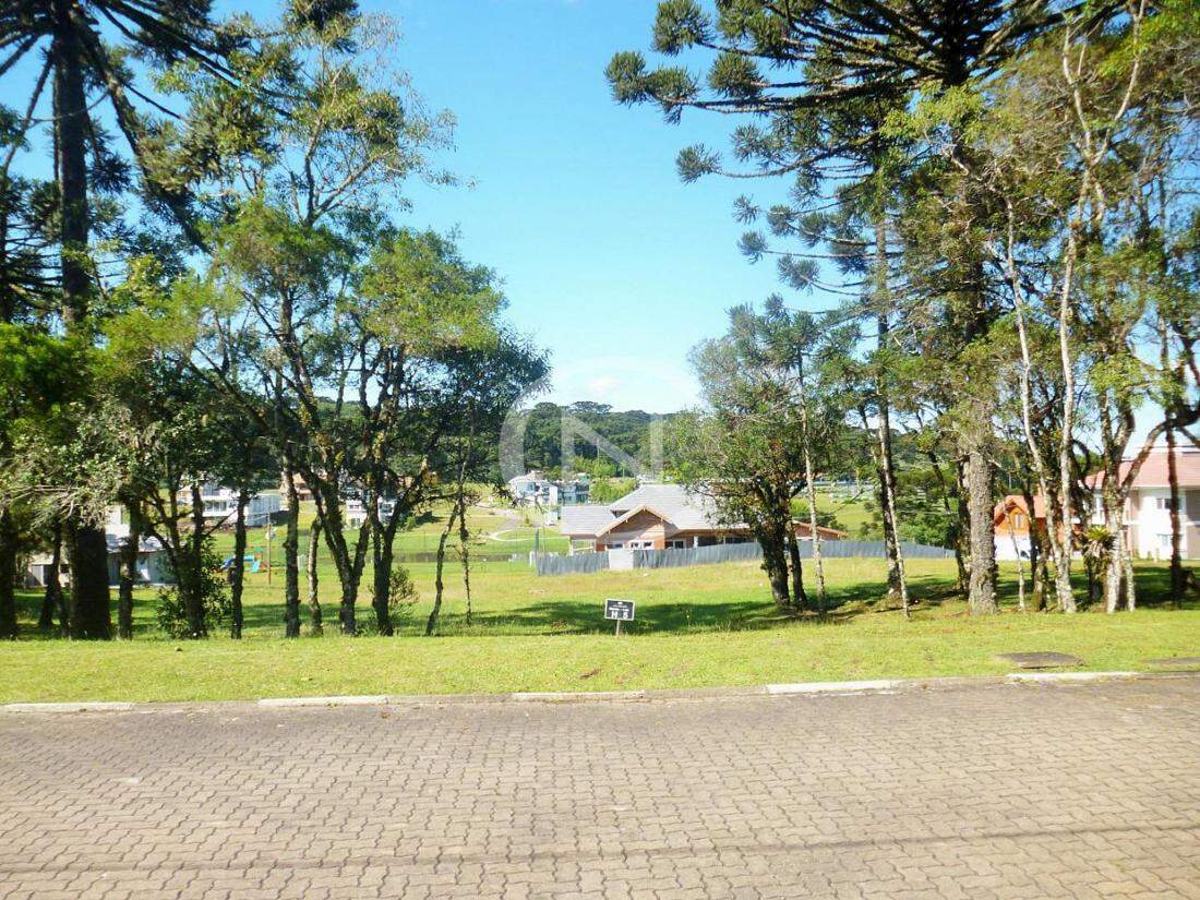 TERRENO COM 795 M² NO CONDOMÍNIO ALTOS PINHEIROS EM CANELA/RS | Altos Pinheiros | Canela