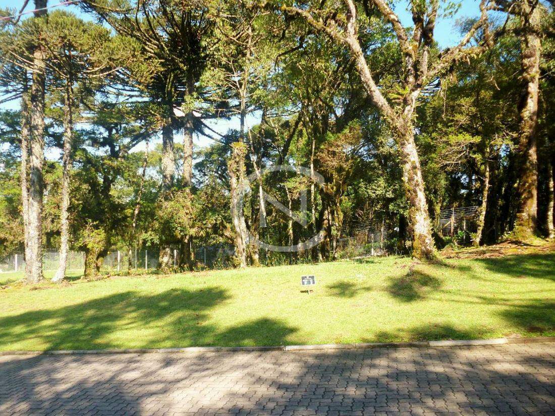 TERRENO COM 544 M² NO CONDOMÍNIO ALTOS PINHEIROS EM CANELA/RS | Altos Pinheiros | Canela