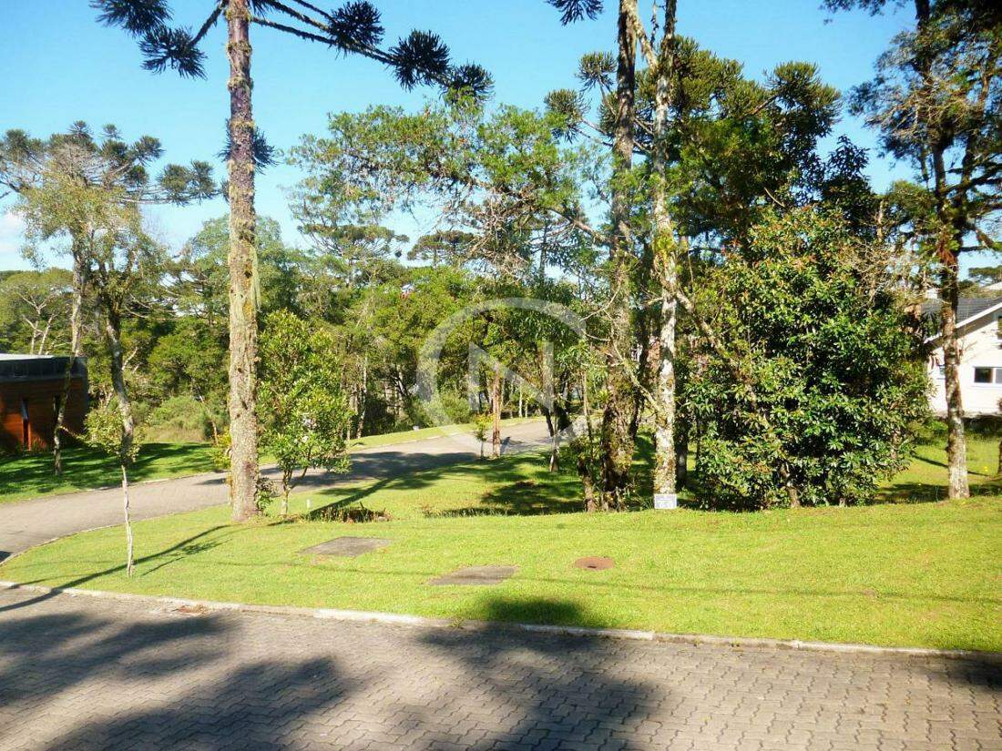 TERRENO NO CONDOMÍNIO ALTOS PINHEIROS EM CANELA/RS | Altos Pinheiros | Canela