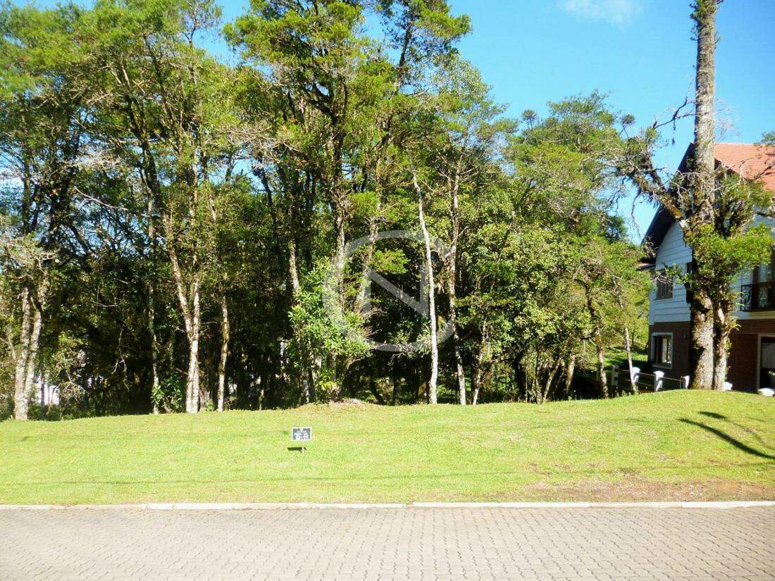 TERRENO NO CONDOMÍNIO ALTOS PINHEIROS EM CANELA/RS COM 707 M² | Altos Pinheiros | Canela