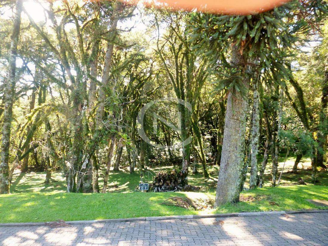 TERRENO NO CONDOMÍNIO ALTOS PINHEIROS EM CANELA/RS COM 595 M² | Altos Pinheiros | Canela