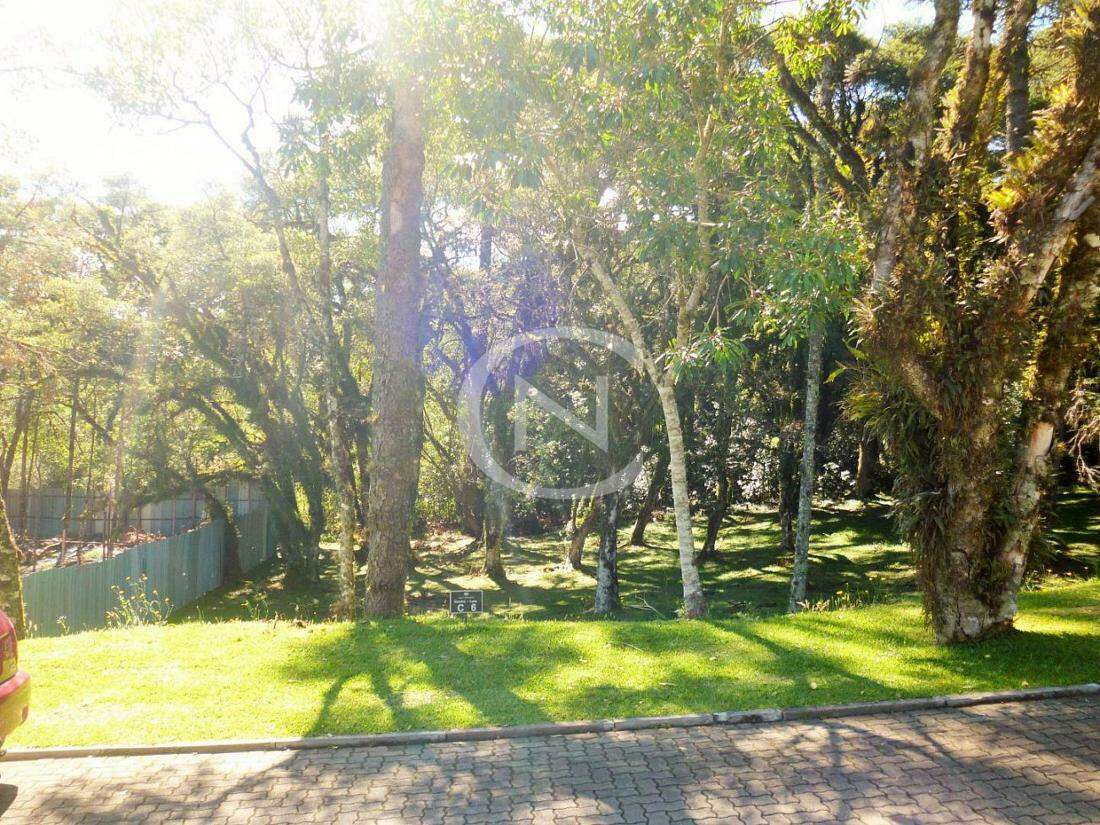 TERRENO COM 595 M² NO CONDOMÍNIO ALTOS PINHEIROS EM CANELA/RS | Altos Pinheiros | Canela