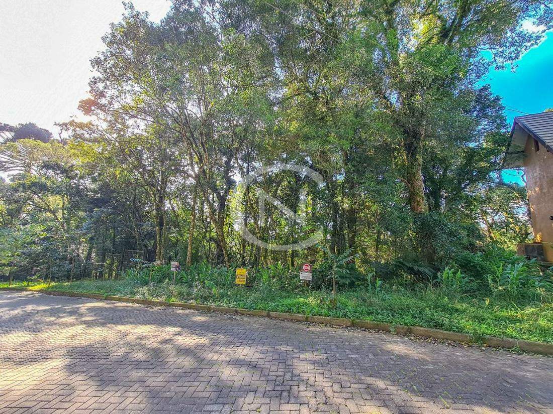 TERRENO COM 1152 M² NO BAIRRO VILA SUZANA EM CANELA/RS | Vila Suzana | Canela
