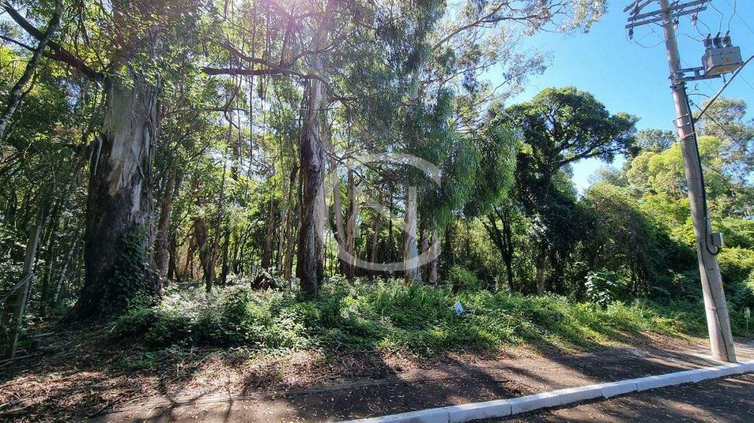Terreno na Vila Suiça em Gramado/RS com 919,42m² | Vila Suiça | Gramado