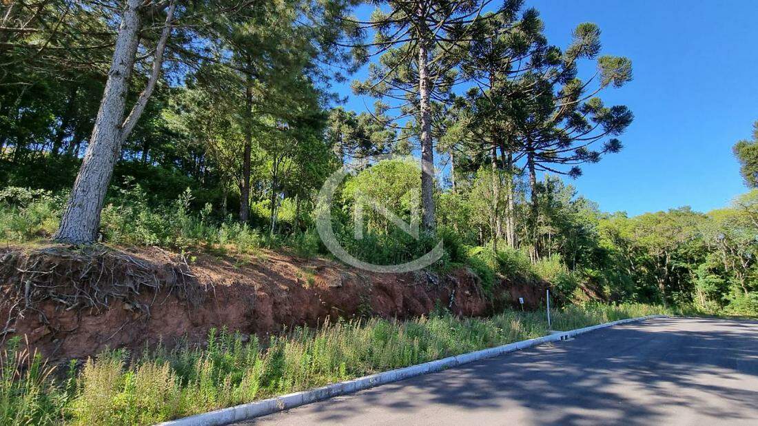 TERRENO EM GRAMADO NO LOTEAMENTO MARSAL COM 450M² | Loteamento Marsal | Gramado