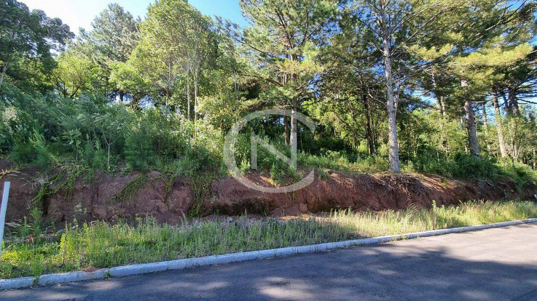 TERRENO NO LOTEAMENTO MARSAL EM GRAMADO/RS COM 450M² | Loteamento Marsal | Gramado