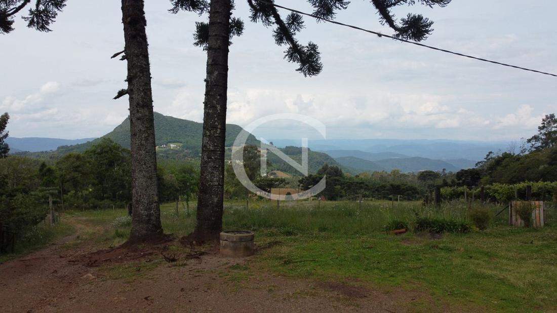SÍTIO COM 2 CASAS NA SERRA GRANDE EM GRAMADO/RS | Serra Grande Alemã | Gramado