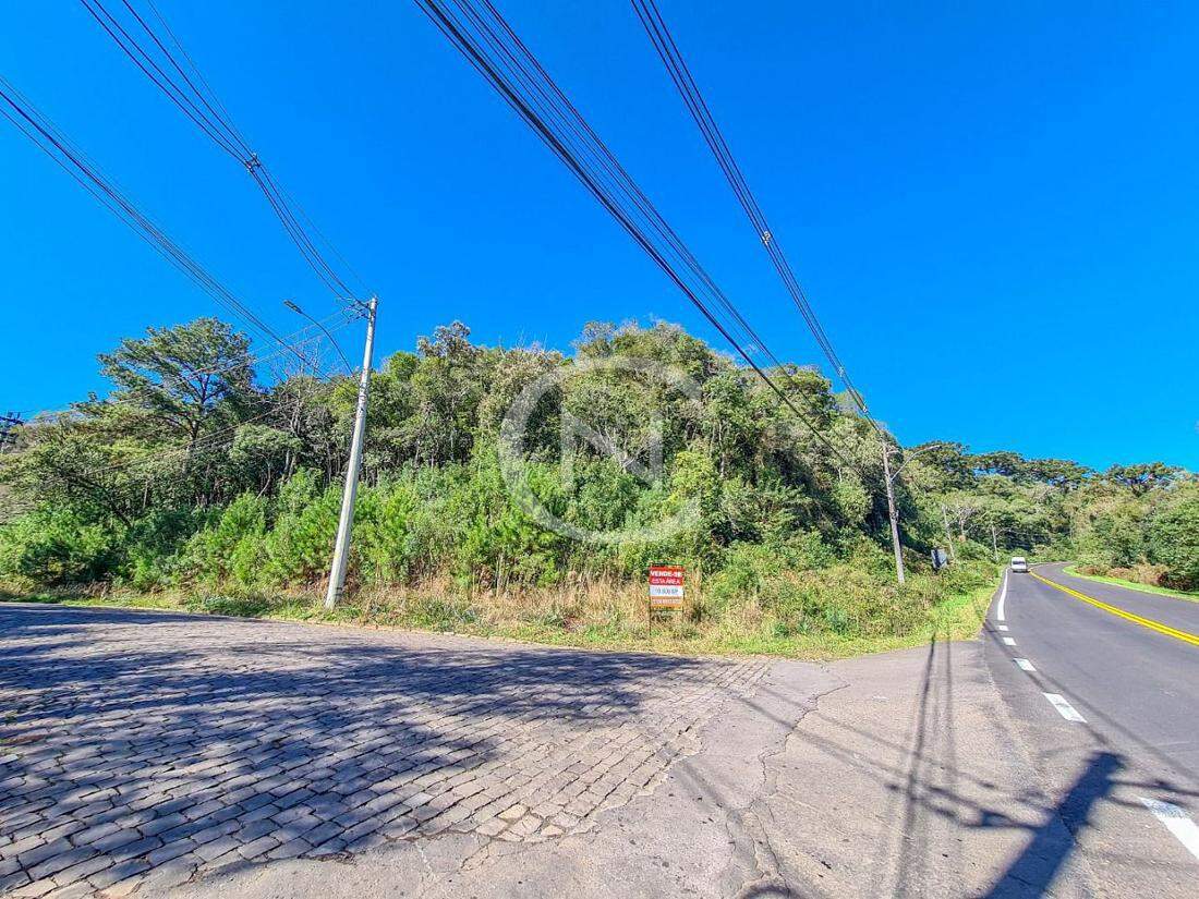 TERRENO COM 10470 M² NO CARACOL EM CANELA/RS  1 | Caracol | Canela