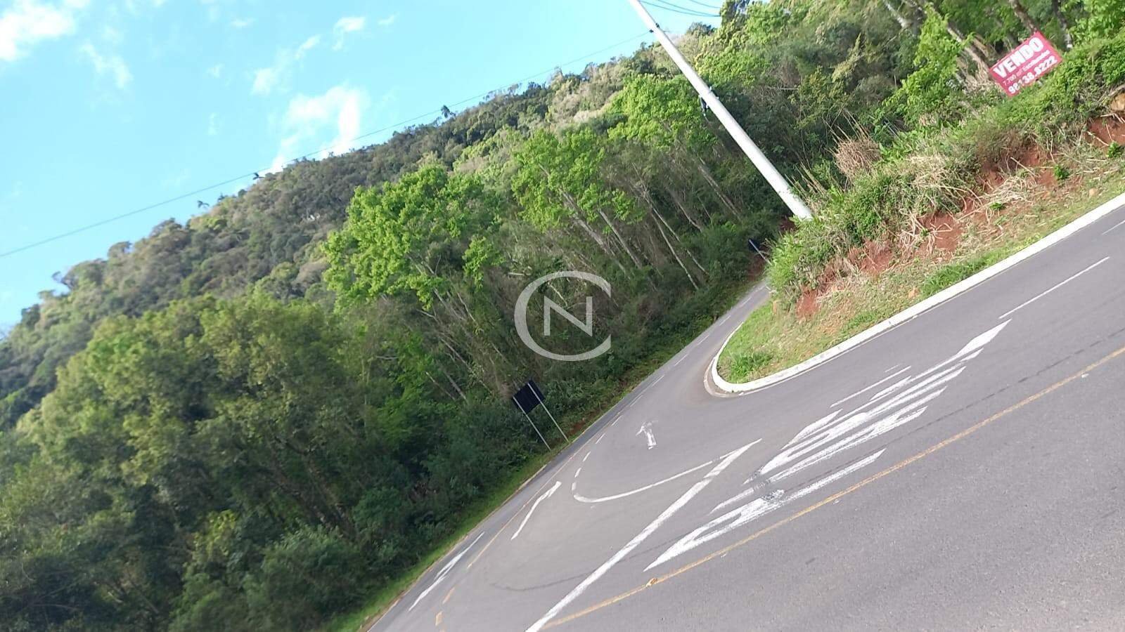 ÁREA COM 7700 M² NA LINHA ÁVILA EM GRAMADO/RS | Estrada Linha Avila | Gramado