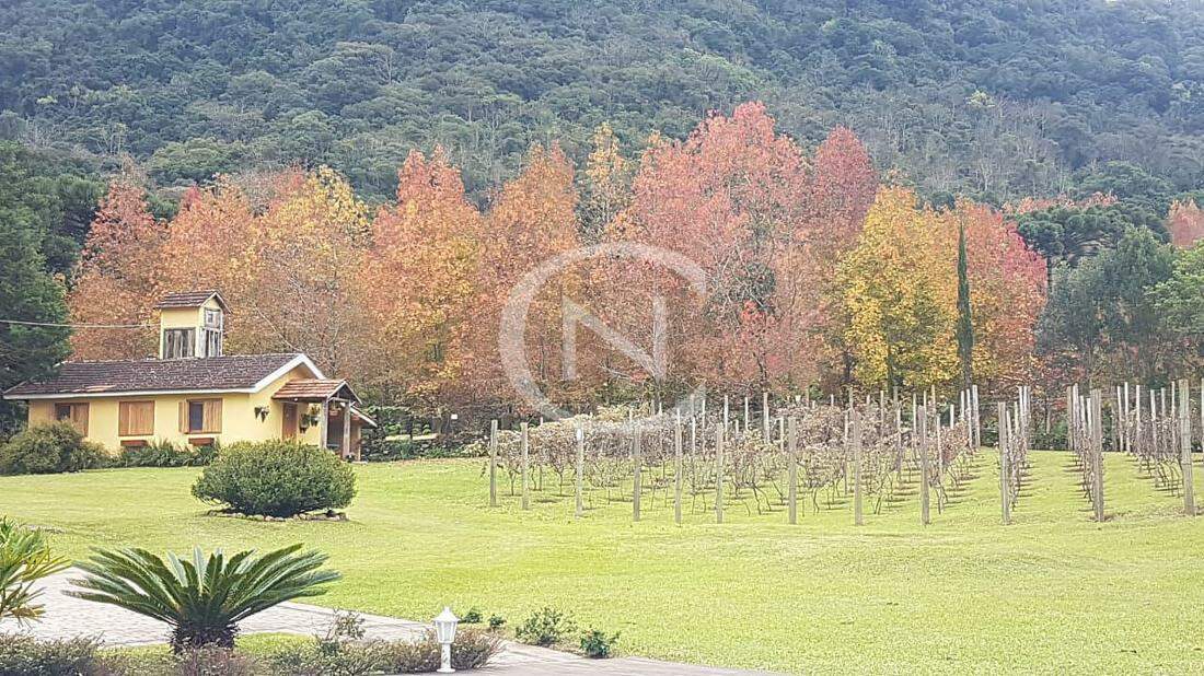SÍTIO COM 8662 M² NA AVENIDA CENTRAL EM GRAMADO/RS | Avenida Central | Gramado