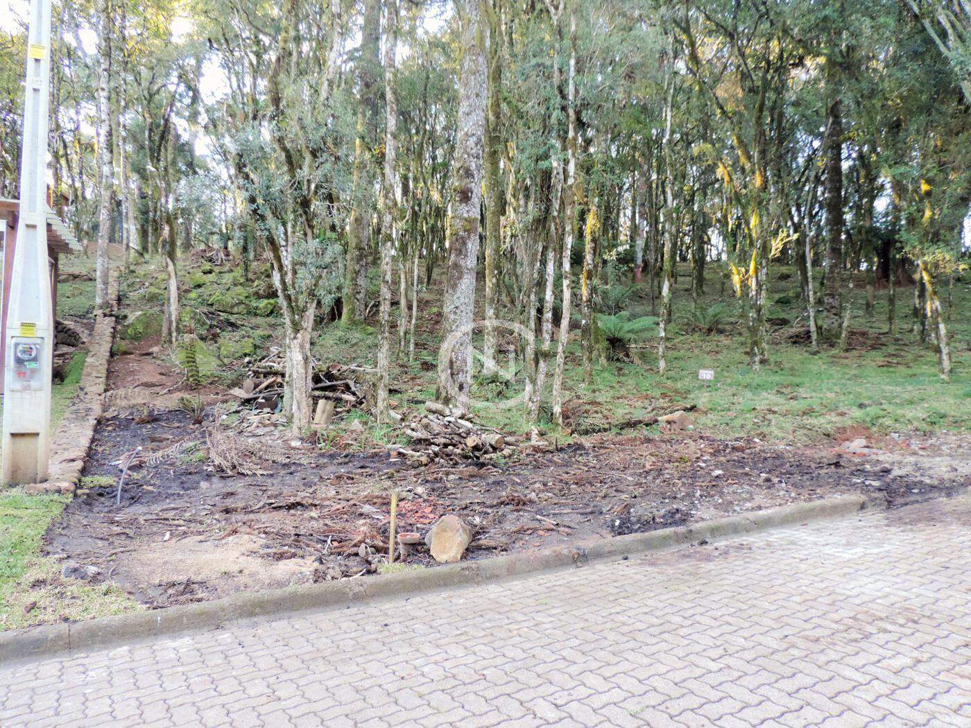 TERRENO NO RESIDENCIAL PINHEIRO GROSSO EM CANELA | Pinheiro Grosso | Canela