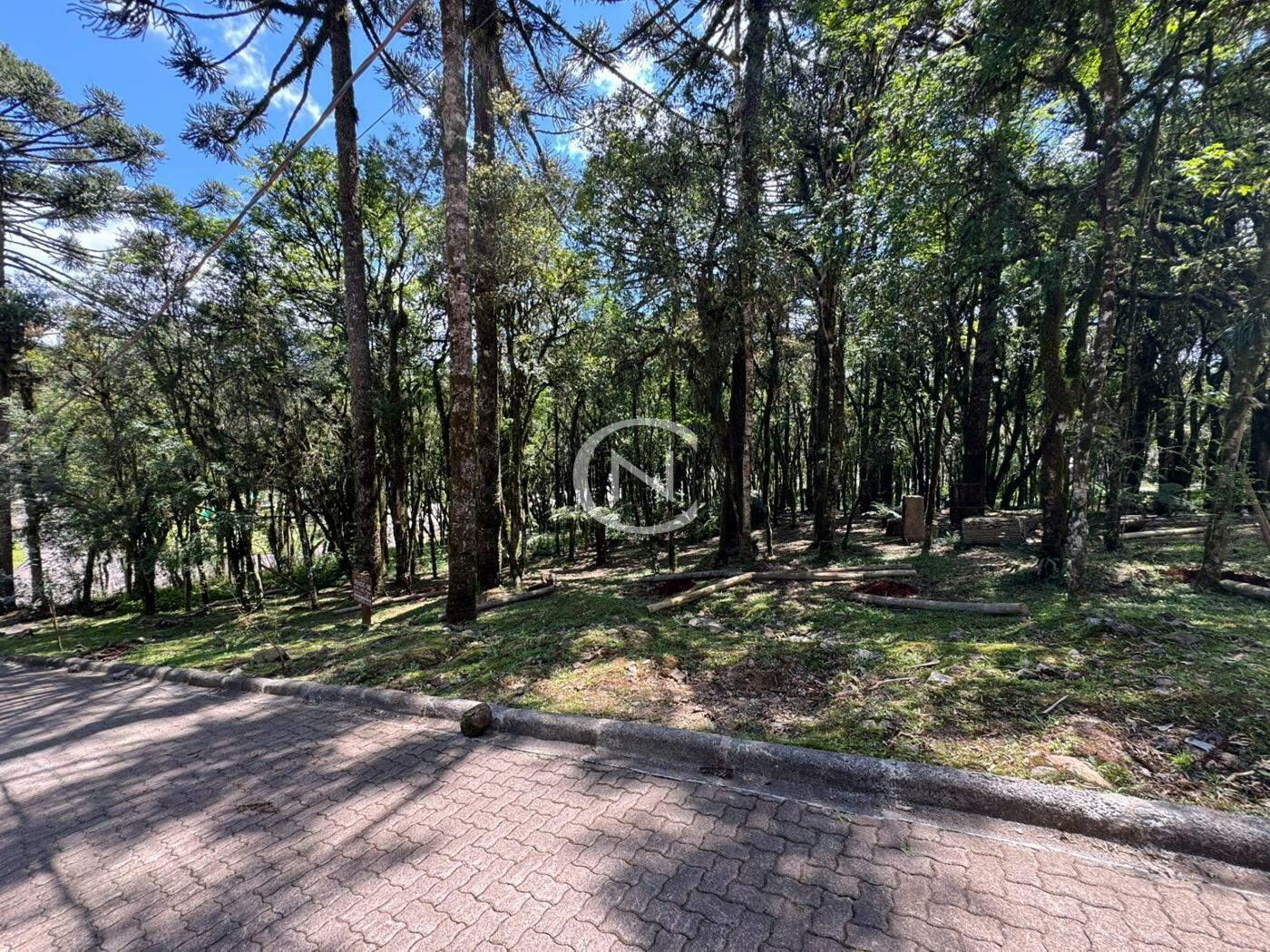 TERRENO NO CONDOMÍNIO PINHEIRO GROSSO EM CANELA/RS | Pinheiro Grosso | Canela