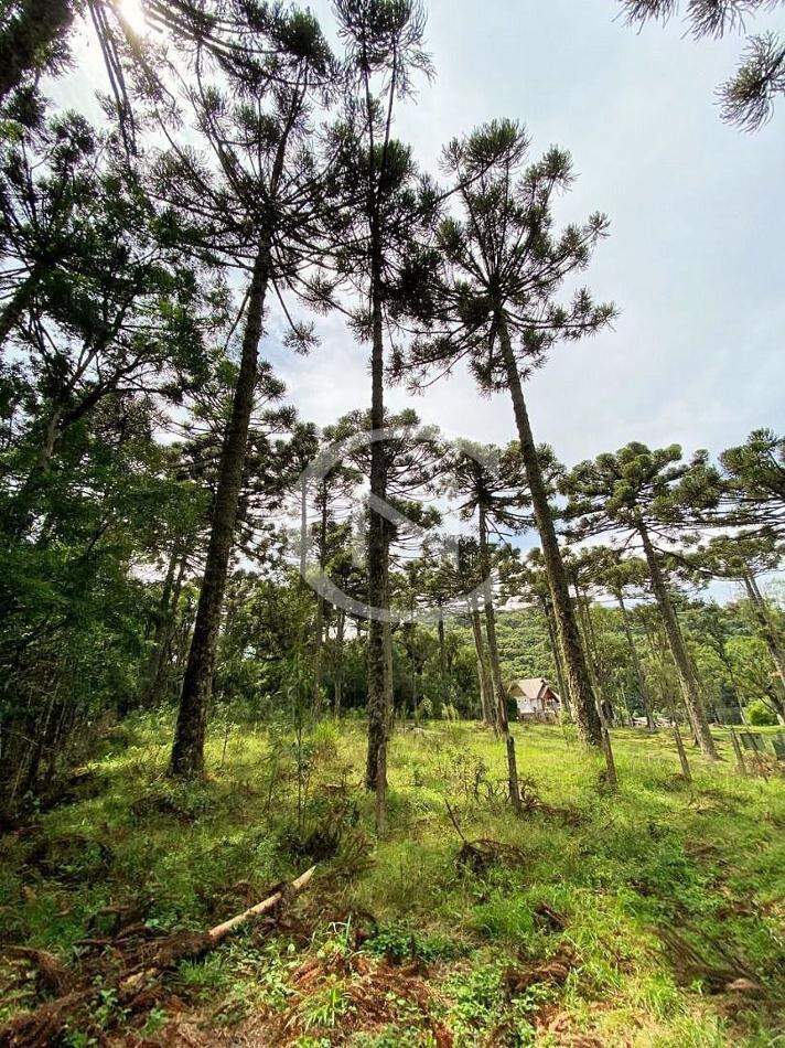 TERRENO COM 750 M² NO CARACOL EM CANELA/RS | Caracol | Canela