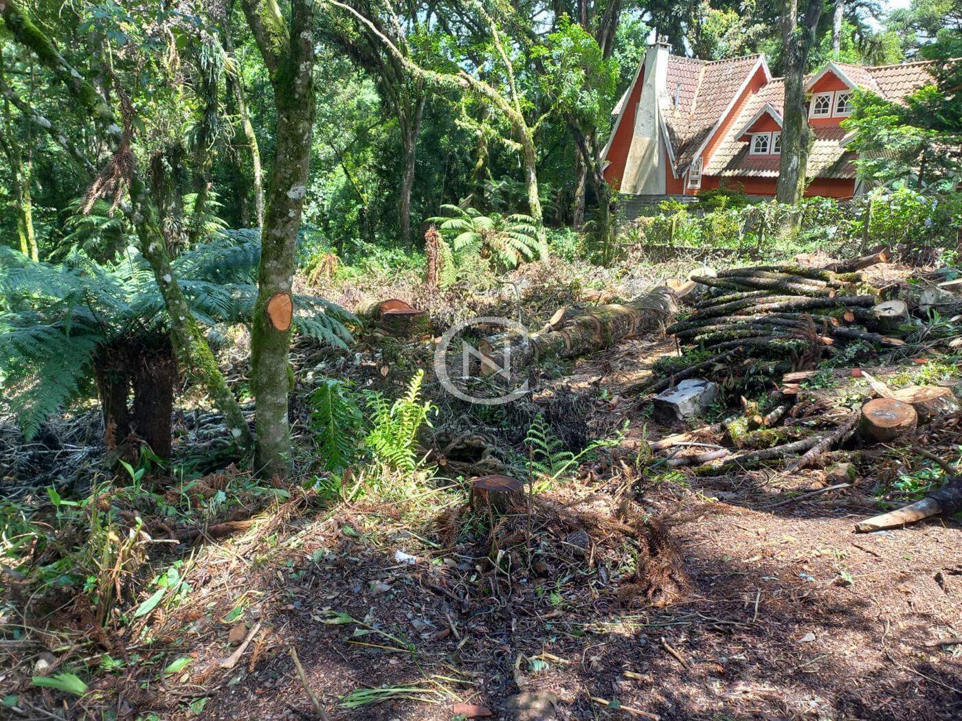 TERRENO COM PROJETO APROVADO EM CANELA/RS | Vila Suiça | Canela