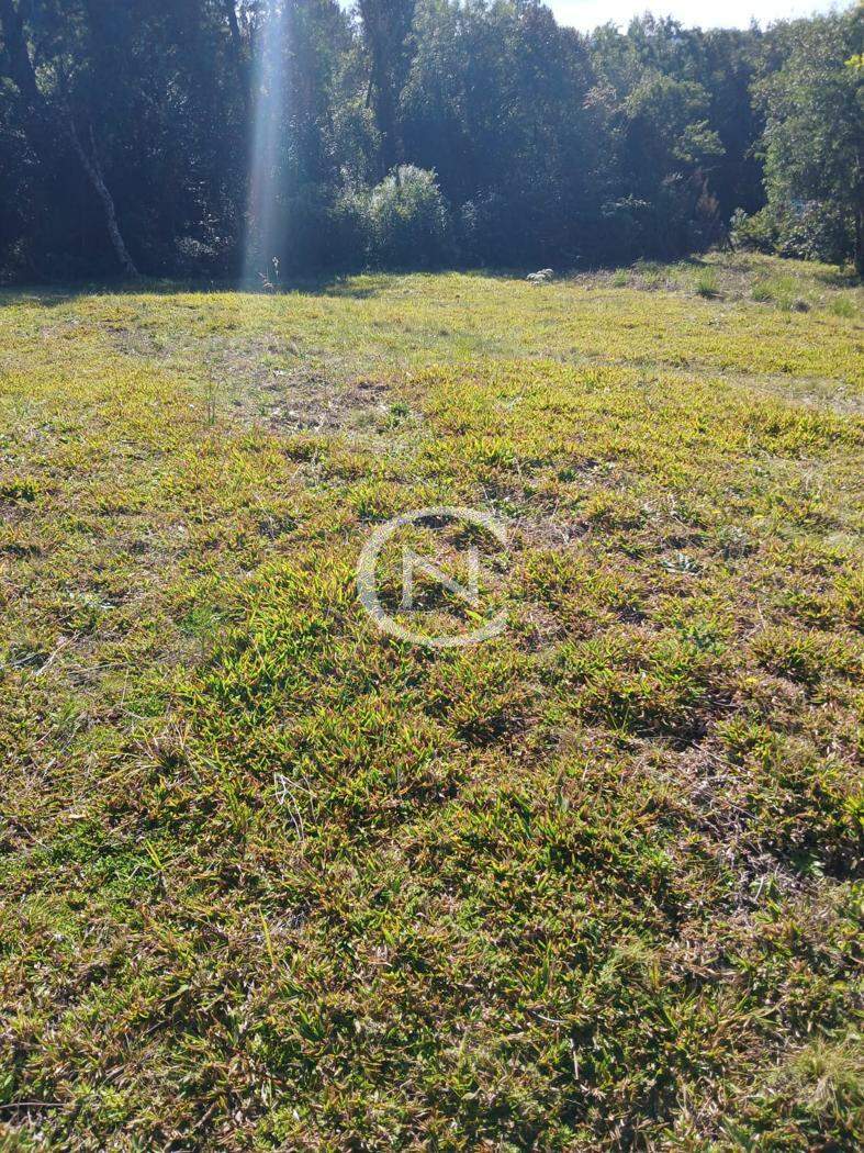 TERRENO NO VIVENDAS DO ARVOREDO EM GRAMADO/RS | Carniel | Gramado