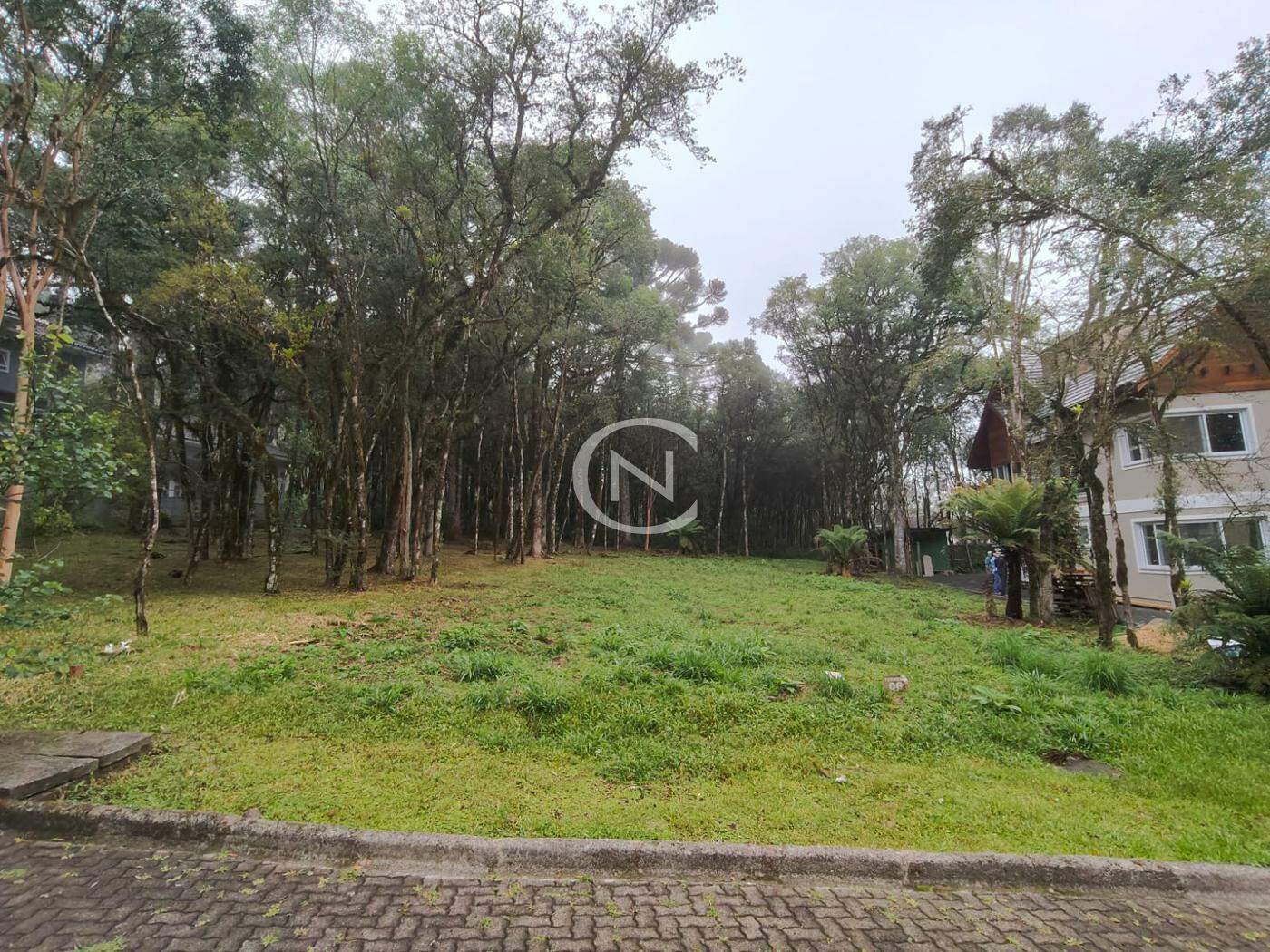 TERRENO NO PINHEIRO GROSSO EM CANELA/RS | Pinheiro Grosso | Canela
