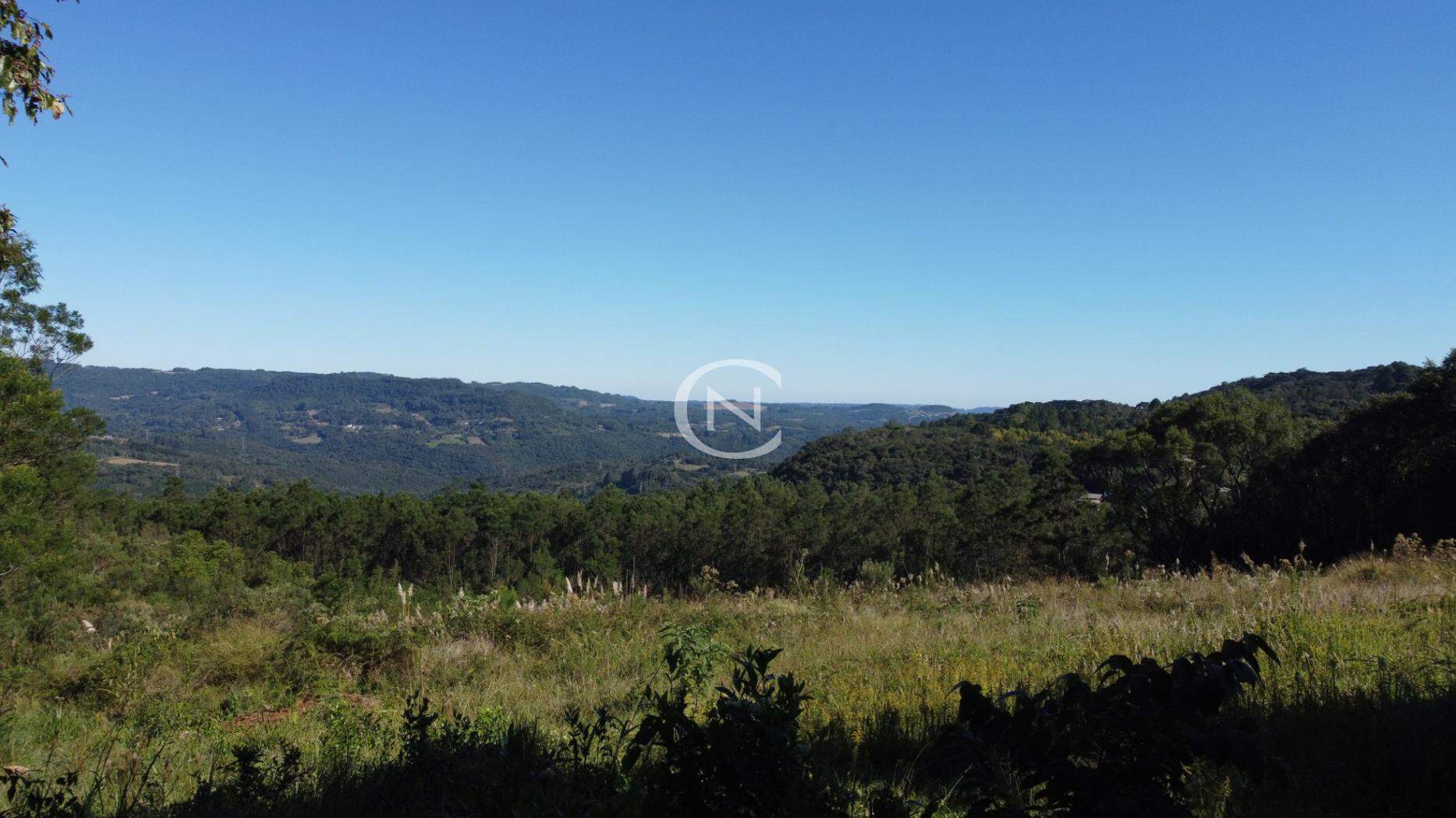 ÁREA COM 31500 M² NO CARAZAL EM GRAMADO/RS  1 | Carazal | Gramado