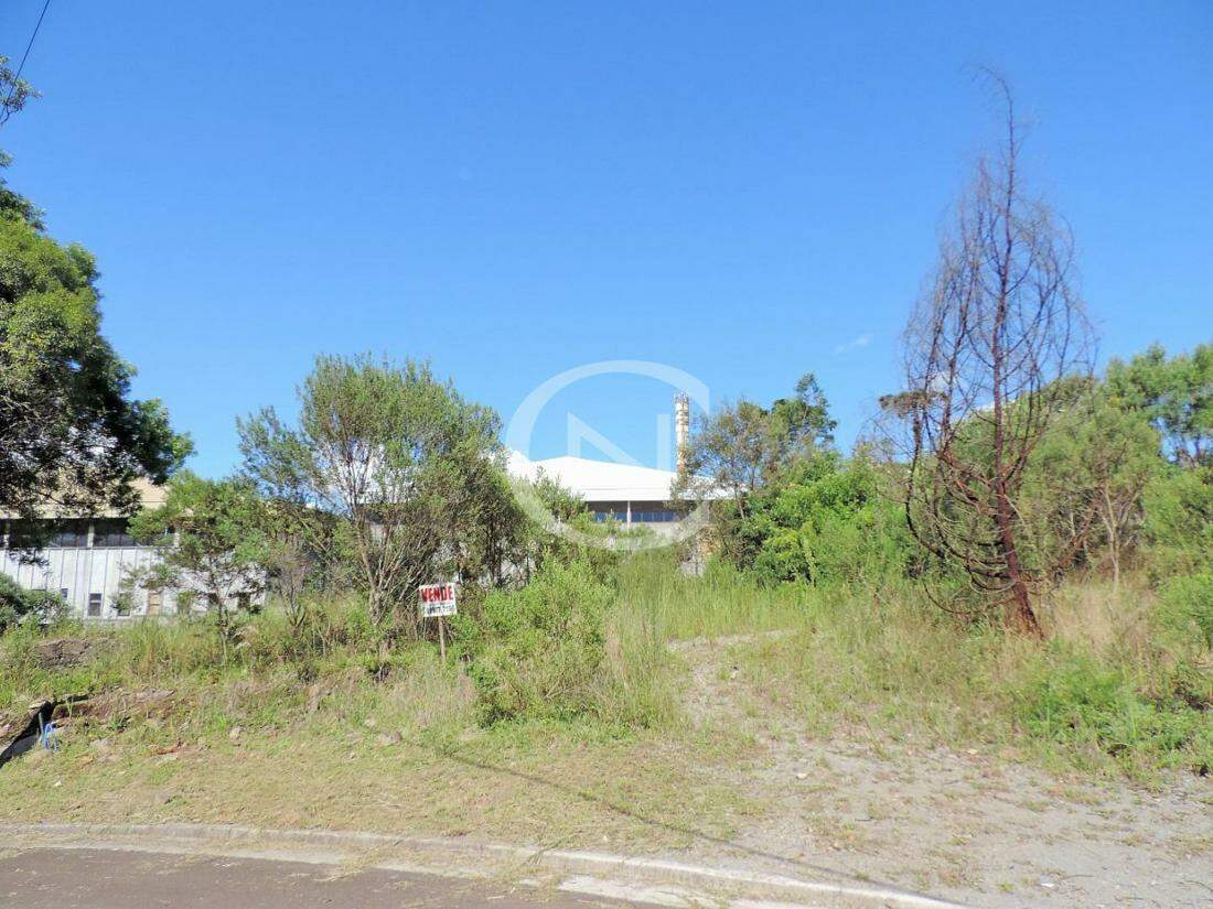 Terreno com 802 m² no Vivendas do Parque em Gramado/RS | Vivendas do Parque | Gramado