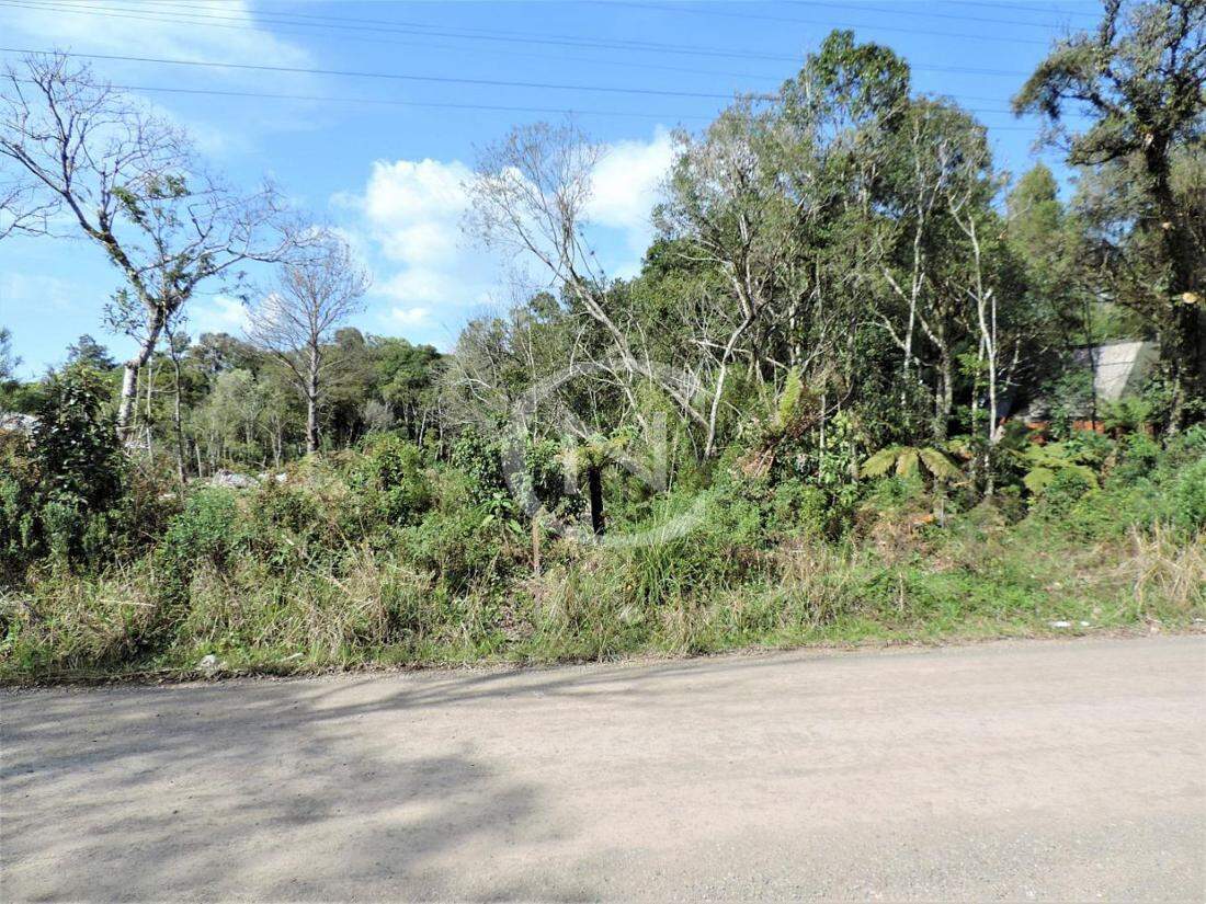 TERRENO COM 790 M² NO ALPES VERDES EM CANELA/RS | Alpes Verdes | Canela