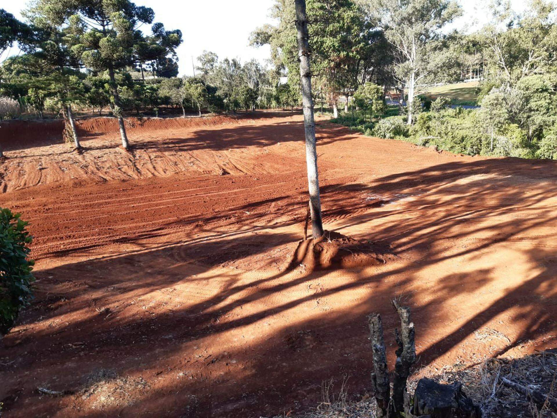 Erechim Chácara com 10.000 m² frente pra RS 135 
